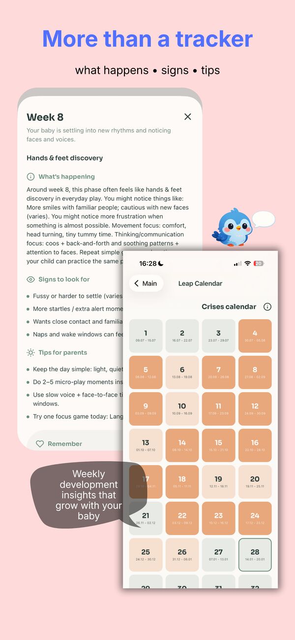 Leap Calendar & Insights